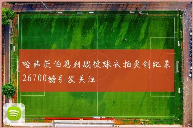 哈弗茨伯恩利战役球衣拍卖创纪录26700镑引发关注